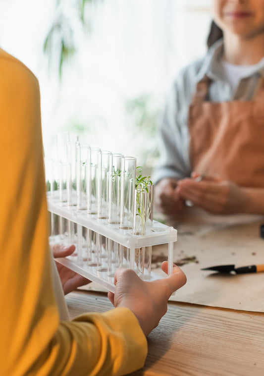 Tubes en verre de qualité pour travaux manuels